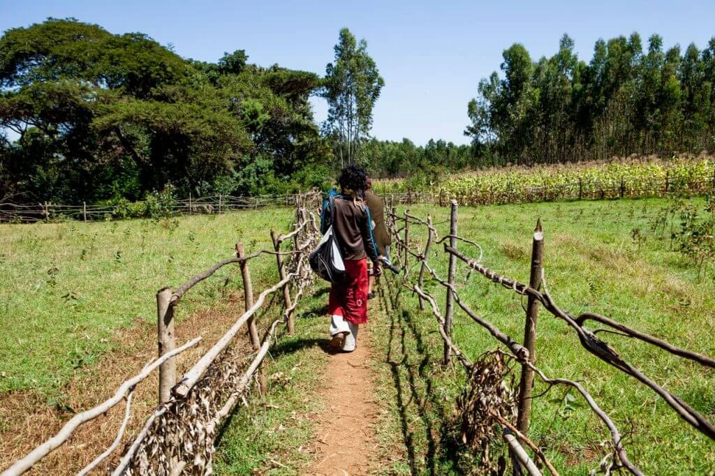 A Midwife’s Story - Maternal Health Foundation