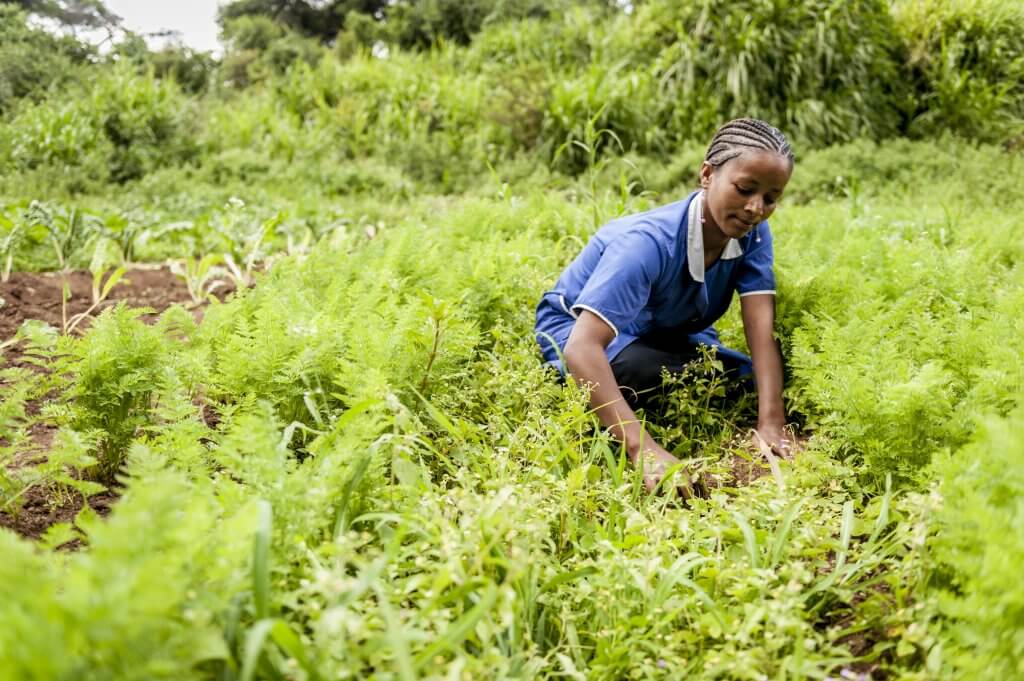 Residents of Desta Mender work in the gardens on the grounds of the home for patients who have had diversion surgery or have to wear a bag. Photo by Mary F. Calvert)